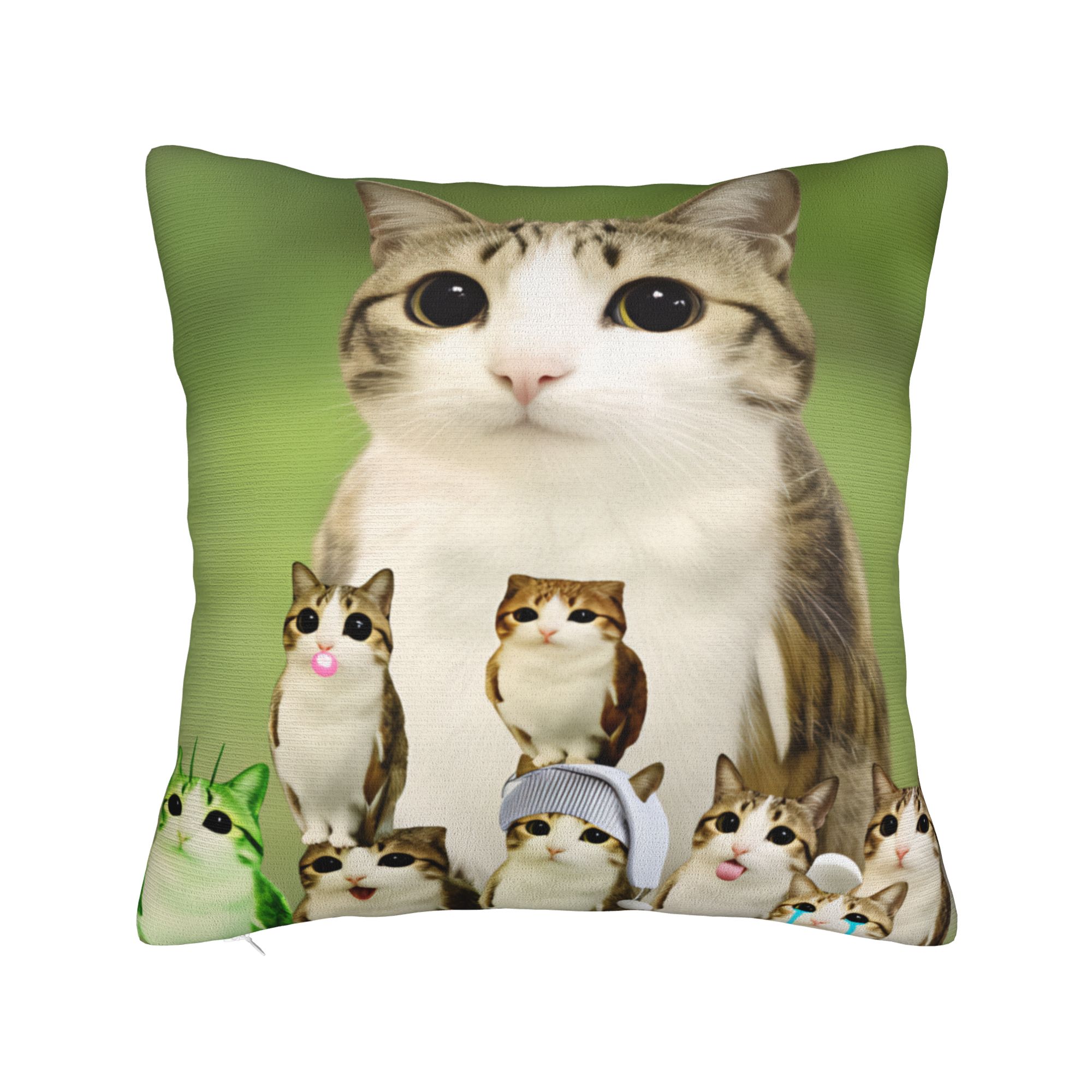Poszewka na poduszkę Śmieszna  – Home Decor Png recenzja i cena